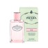 Prada Les Infusions De Rose 100 ml